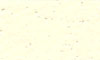 461 Pampas White