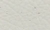 504 Oyster Gray